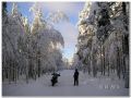 jl Sunnuntaiajelut 2013